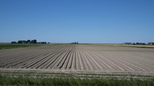 legumicultura an problematic anun ul cercetatorilor