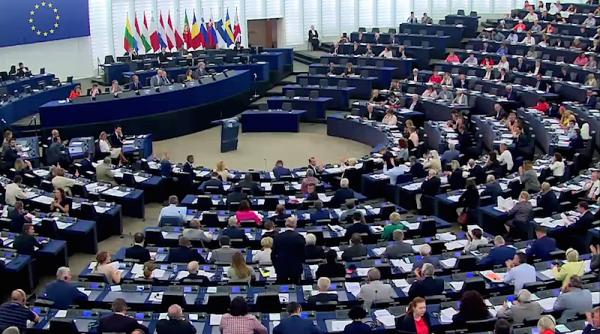 parlamentari care nu tin cu interesele romaniei frunzulica sa fie sanctionati la vot