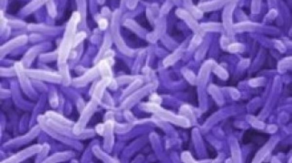 prof dr emanoil ceau u interviu aceste cazuri de holera ar putea sa se repete oricand