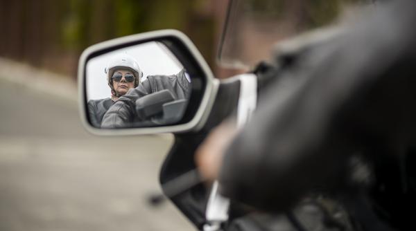 fructul oprit imaginile zilei