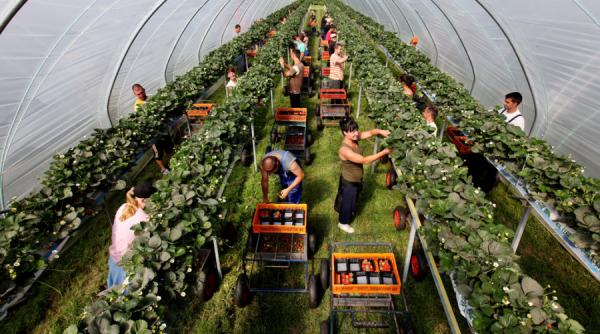 grupul ppe din parlamentul european ramane aproape de agricultorii din romania