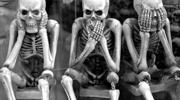 cele mai bune alimente pentru oase sanatoase