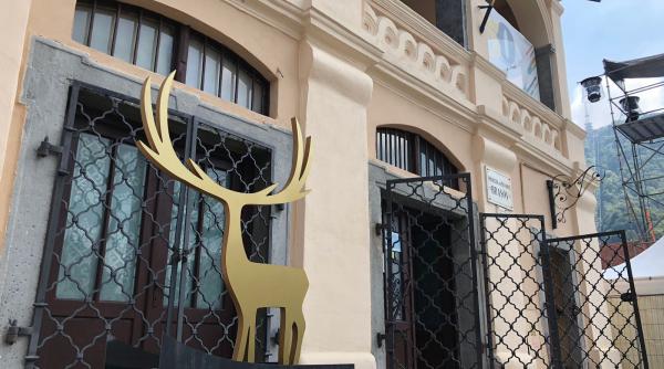 cerbul de aur 2018 cine a ca tigat marele trofeu