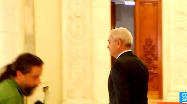 cat costa pantofii lui dragnea i de la ce firma sunt