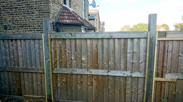 femeie din anglia ocata de o familie de romani ai naibii straini