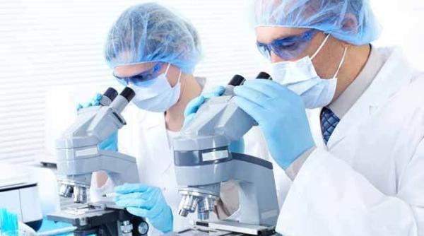 insulina mai importanta decat crezi un nou rol crucial descoperit