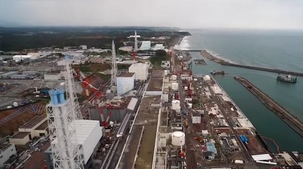 japonia recunoastere mort radiatii