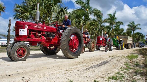radulescu economia de subzistenta agricultura