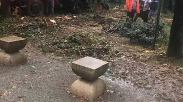 vremea distrugeri operele lui brancu i in pericol