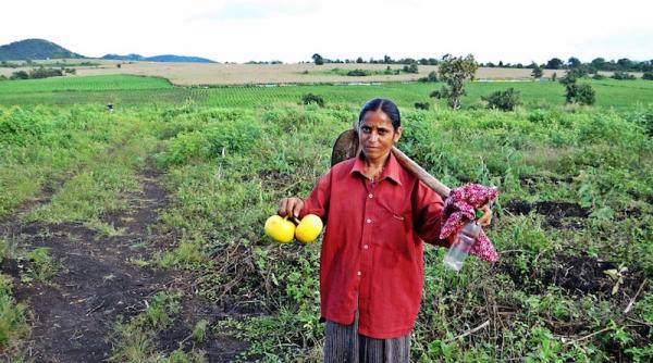 marea britanie porti deschise muncitorii sezonieri