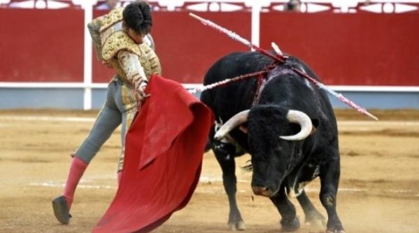 bancul zilei turist in spania