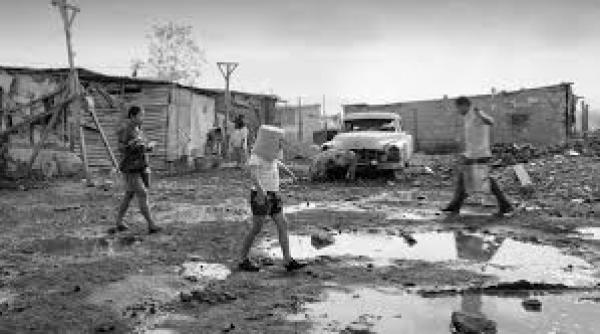 vene ia 75 roma leul de aur lista castigatorilor