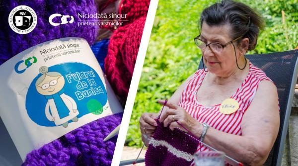 la tricotat in gradina lui arghezi