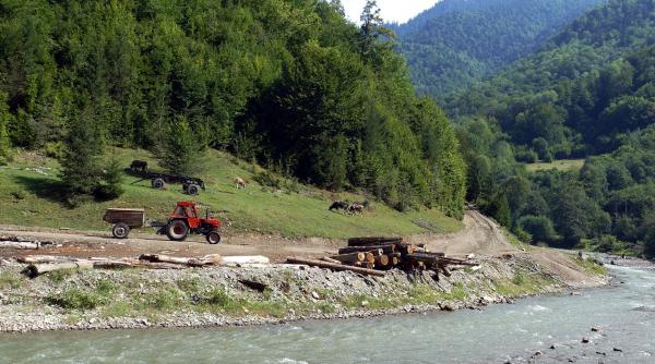 mistr k ambasadorul slovaciei aveti ce la noi incepe sa lipseasca