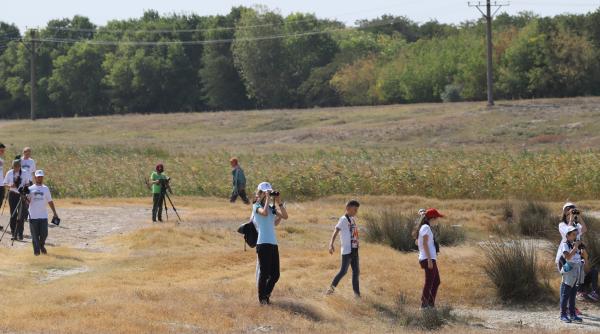 tabara de inelare a pasarilor de la grindul chituc sus inuta de rompetrol