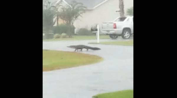 uraganul florence nivelul apei creste peste tot