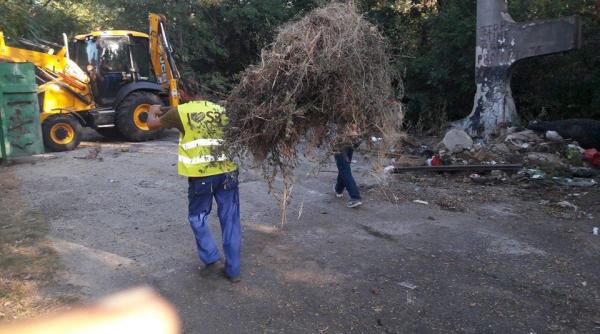 negoita anunt asteptat sector 3