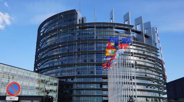 cat de obligatorii sunt cotele obligatorii