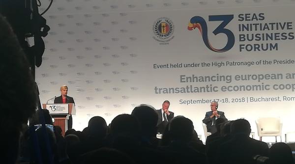 kolinda grabar kitarovic  presedinta croatiei  pledeaza pentru convergenta economica pe plan european