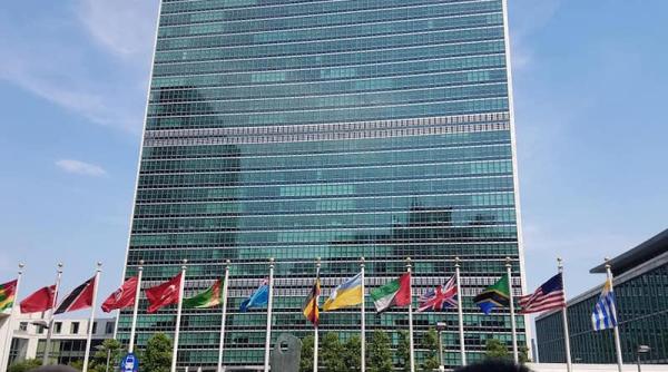 romania   aleasa vicepresedinte al conferintei generale a aiea