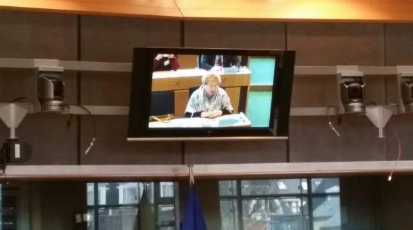 romania sub mcv renate weber instrument politic nu ma feresc sa spun