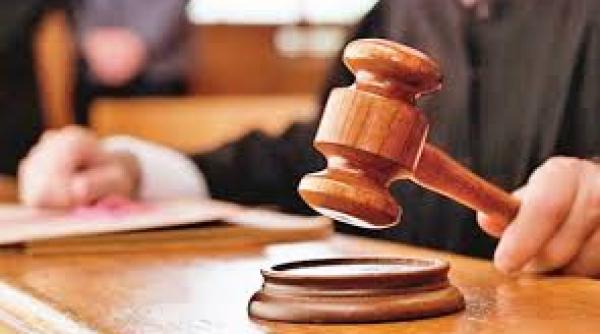 chris terhes completele de 5 judecatori de la iccj nelegal constituite