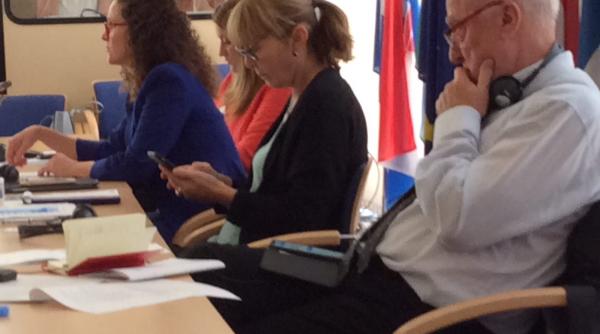 comisia libe pe cazul romania monica macovei atac la dragnea