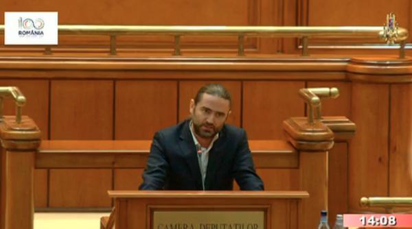 liviu plesoianu text fulminant catre comisia libe