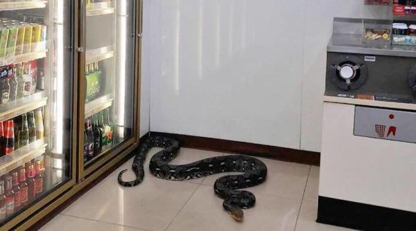 surpriza mortala intr un magazin din thailanda