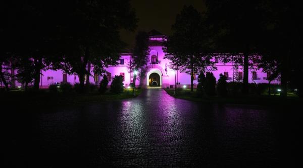 foto ziua luptei impotriva cancerului de san palatul cotroceni iluminat in roz