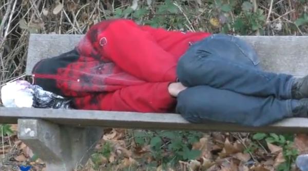 germania muncitor roman culcat trei saptamani in padure pe banca