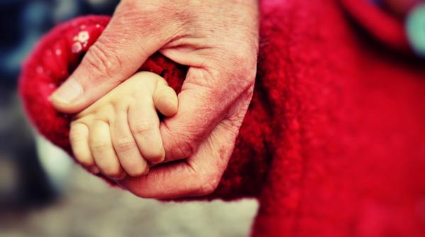 h d hartmann familia mea nu este traditionala