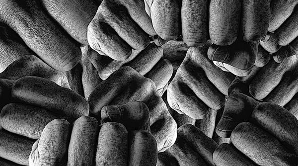 referendum familie gay nu e ok incestul e ok