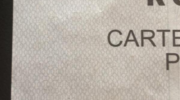 exit poll referendum 2018 ora 19 00 procente