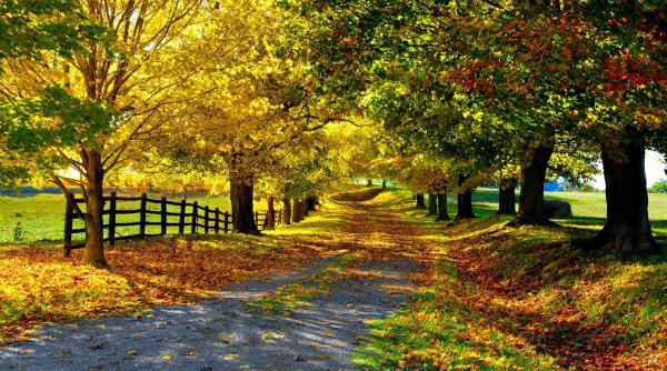 anm prognoza meteo cum va fi vremea in urmatoarele saptamani