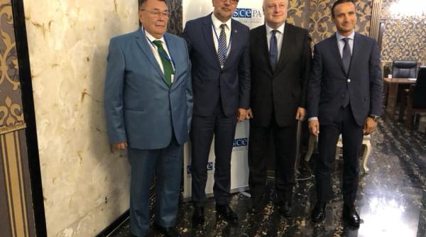 romascanu reuniune osce detaliile discutiilor despre romania