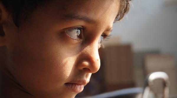 supararea ce sfaturi vitale ne ofera alexandru plesea