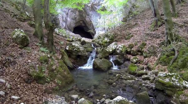 pestera cioclovina descoperire incredibila s a gasit o comoara impresionanta