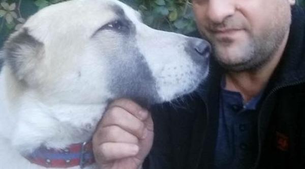 tavi colen dezvaluire la mine in casa nu e loc de doi sefi