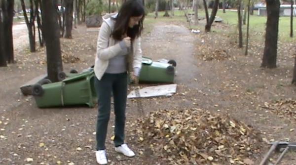 team work inscrieri la curatenia de toamna in gradina botanica 2018