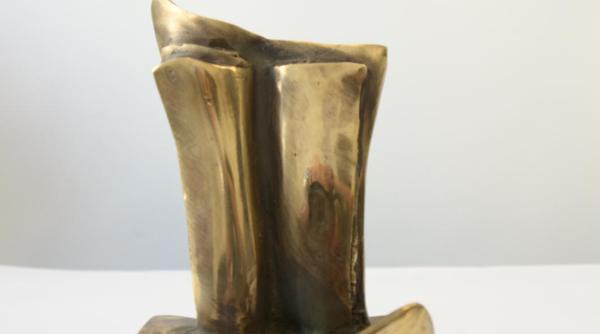 premiile muzeului national al literaturii romane