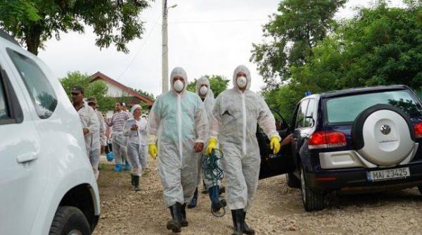 daea recompensa pentru gasirea porcilor morti mistretul este mai scump