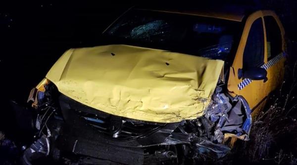 legea vanatorii va fi modificata soferii implicati in accidente provocate de animale salbatice vor fi despagubiti