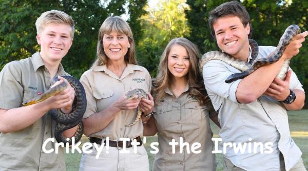 steve irwin emisiune familia naturalistului un nou proiect
