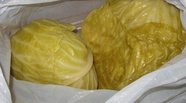 dieta cu varza murata slabesti 3 kilograme in 3 zile