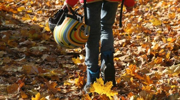 tobogan gonflabil intr un parc din anglia cel putin opt copii au fost raniti