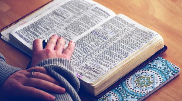 calendar crestin ortodox sarbatoare 06 noiembrie 2018