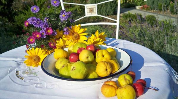 dieta cu gutui slabesti pana la zece kilograme