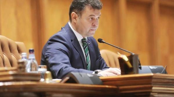 marilen pirtea pnl educatie deciziile luate ca la piata