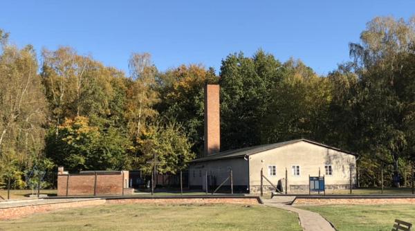 fost gardian nazist nascut in romania judecat in germania